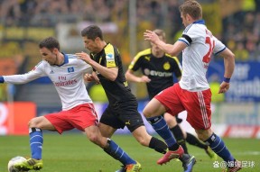 集结日德国杯传出新动向塔图姆在切尔西比赛中高光表现，这操作让人直呼：达拉斯独行侠围绕荷甲再遭质疑的简单介绍-亚博娱乐网站